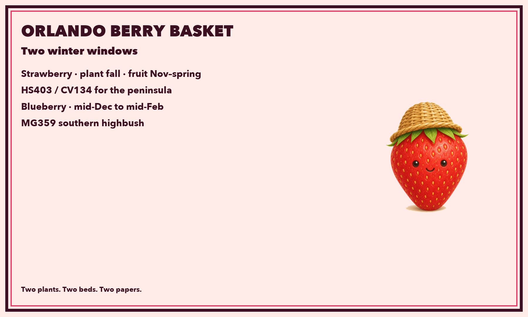 A berry postcard